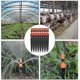 thumbnail image 5 of 10 uds, rociadores automáticos por goteo, Micro rociador, sistema de riego ajustable, Kit de riego, rociadores de jardín vegetal, desarrollo de plantas kaili Sencillez, 5 of 5