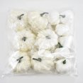 thumbnail image 2 of Halloween Artificial Small Foam Pumpkins Graffiti Simulation Photograph Props Home Party Decor 12Pcs Mixing, 2 of 5