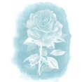 thumbnail image 2 of Popp, Grace 20x24 Gold Ornate Wood Framed with Double Matting Museum Art Print Titled - Ghost Rose I, 2 of 4