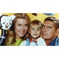 thumbnail image 4 of Bewitched - The Complete Series [DVD][22 Discs, Comedy - Fantasy], 4 of 4