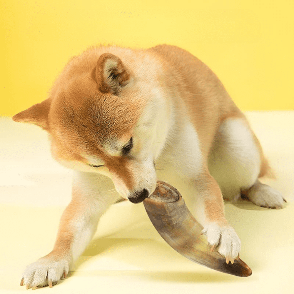 Ox Horn, Natural Ingredients, Natural Dog Treats, Healthy, Easily Digestible, Dog Chews Long Lasting, And High Protein, Low Fat, Perfect Training Reward Snack For Small, Medium and Large Dogs