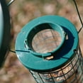 PerkyPet 4.5 lb Fortress Squirrel Resistant Wild Bird Feeder