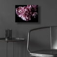 thumbnail image 5 of Epic Art 'Pink Double Tulips' by Elise Catterall, Acrylic Glass Wall Art, 16"x12", 5 of 8
