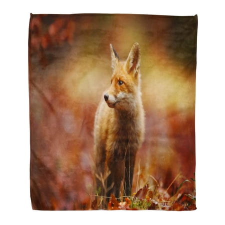 SIDONKU Throw Blanket Warm Cozy Print Flannel Cautious Fox Stopped at The Edge of Forest in Autumn Leaves Comfortable Soft for Bed Sofa and Couch 58x80 Inches