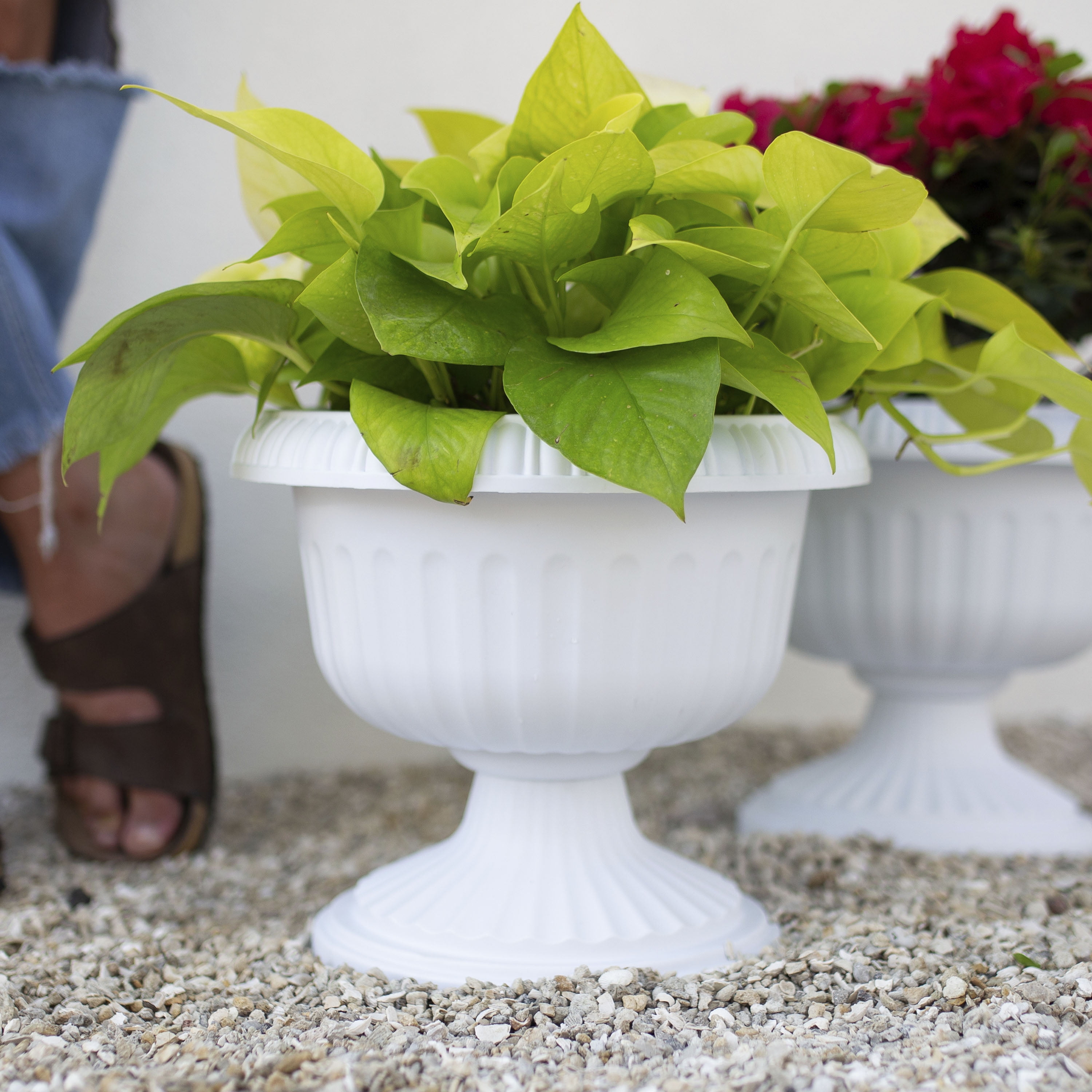 Bloem 18-in Grecian Urn Resin Planter - Casper White