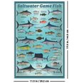 thumbnail image 3 of Saltwater Game Fish Mini Poster - 11" x 17", 3 of 5