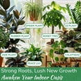 thumbnail image 5 of Indoor Plant Food by Houseplant Resource Center - Organic Liquid Fertilizer for Pothos, Peace Lily, Monstera, Cactus and More - 8 oz, 5 of 9