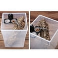 thumbnail image 2 of Nuevo Reptile Gecko Tazones De Comida Para Geckos, 2 of 9