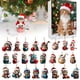 thumbnail image 1 of 2025 Christmas Countdown Calendar Cute Acrylic Decoration Holiday Gifts Box For Family And Friend, 1 of 9