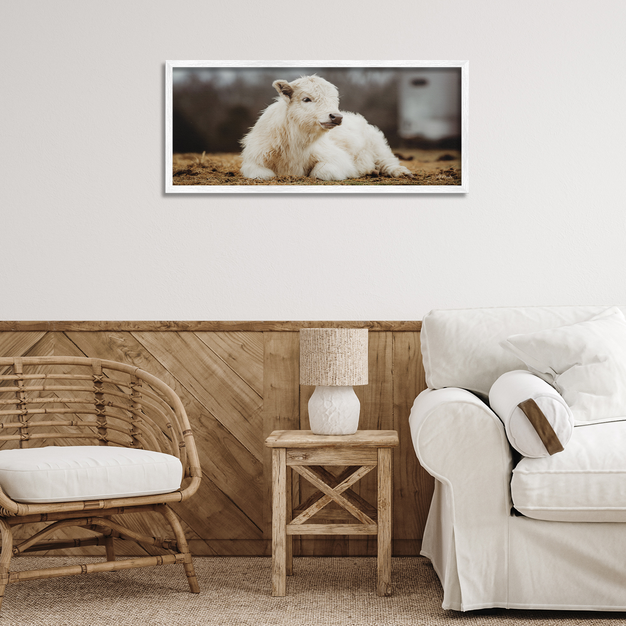 Stupell Industries Baby White Cattle Animals & Insects Photography White Framed Art Print Wall Art, 30 x 13