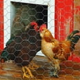 thumbnail image 2 of Garden Craft 24in H x 10ft L Galvanized Steel Chicken Wire with 1in Openings, Gray Poultry Netting, 2 of 13