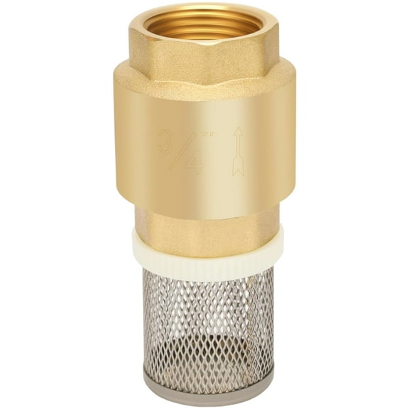 3/4inch Brass Check Valves With Mesh Strainer for Industrial Piping Systems
