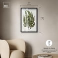 thumbnail image 4 of Time's Imprint III Shadowbox Print Botanical Wall Decor by Art Remedy, Black Frame, 20 x 30, 4 of 5