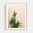 thumbnail image 2 of Botanical Simplicity - Cannes France Travel Photography - Cannes Provence-Alpes-Côte d'Azur France Photography Botanical Tropical Minimalist Palm Tree Nature Unframed Wall Art Print 36 x 48 inches, 2 of 4