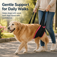 thumbnail image 5 of Kabuer Dog Sling for Large Dogs Hind Leg Support - Dog Lift Harness for Back Legs, Arthritis, ACL Rehabilitation and Elderly Dog, 6" x 51", 5 of 6