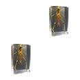 thumbnail image 3 of Bewildely Materiales respetuosos con el medio ambiente para un espécimen de escarabajo avispa araña escorpión seguro y confiable Type7 NO7, 3 of 6
