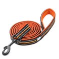 thumbnail image 1 of Truelove 200Cm Nylon Dog Lead Leash Running Reflective Dog Training Leash Purple Pet Leash For Small Large Dogs Correa Perro ShopWise Round, 1 of 16