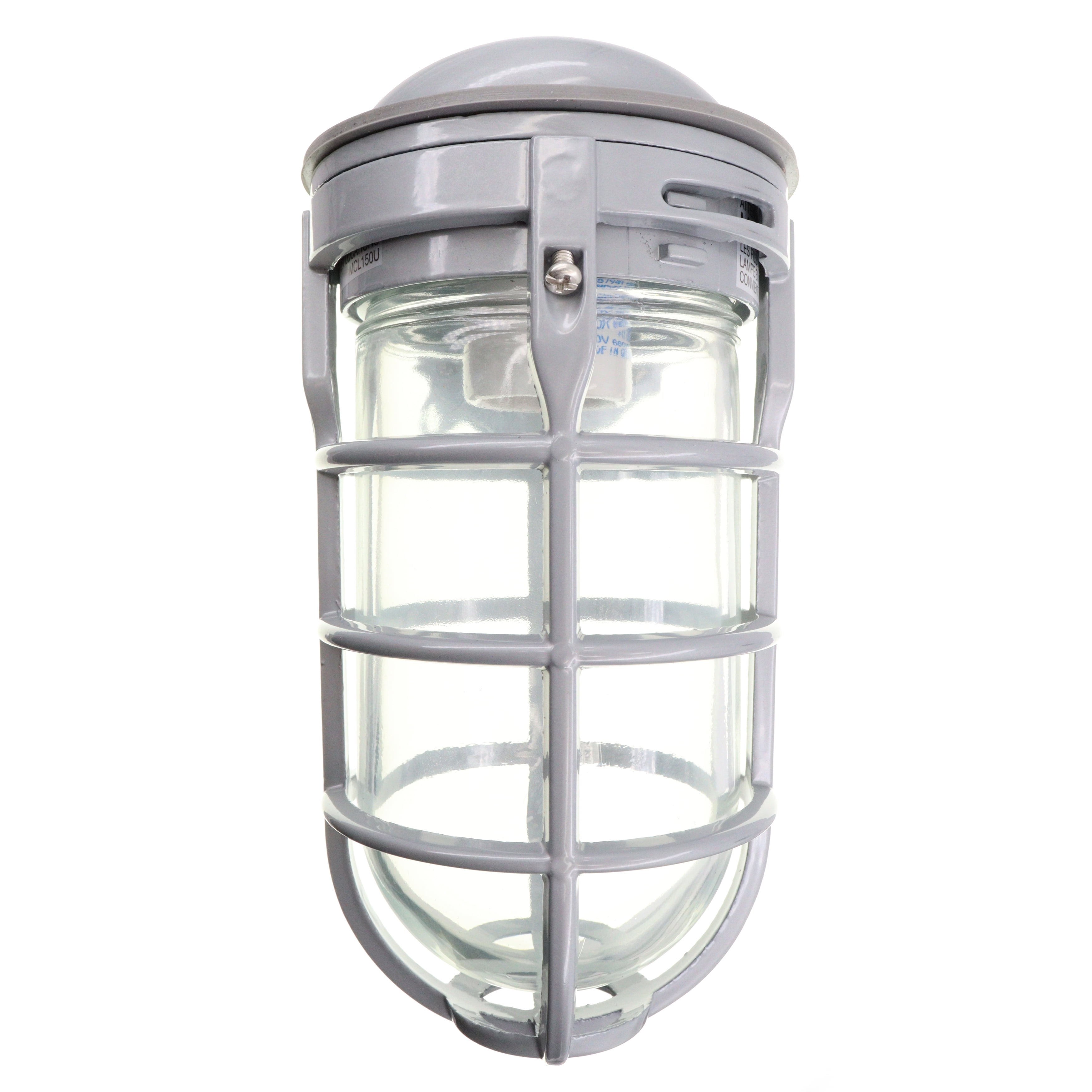 Red Dot 150-Watt Ceiling Mount Metal Cage Globe Light