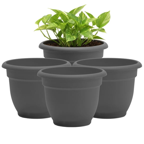 Bloem Ariana 8" Self-Watering Plastic Planter - Rolled Rim Indoor/Outdoor Garden Pot, Charcoal 4-Pack