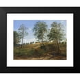 thumbnail image 2 of Dankvart Dreyer 14x12 Black Modern Framed Museum Art Print Titled - The Caroline Spring at Nasby on Funen (1844 - 1845), 2 of 5