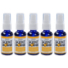 Scent Bomb 100% Oil Based Concentrated Air Freshener Spray Peach 5