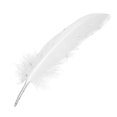thumbnail image 1 of Feathers Goose Craft 100pcs for Party Hat Decorations 15-22cm, 1 of 5