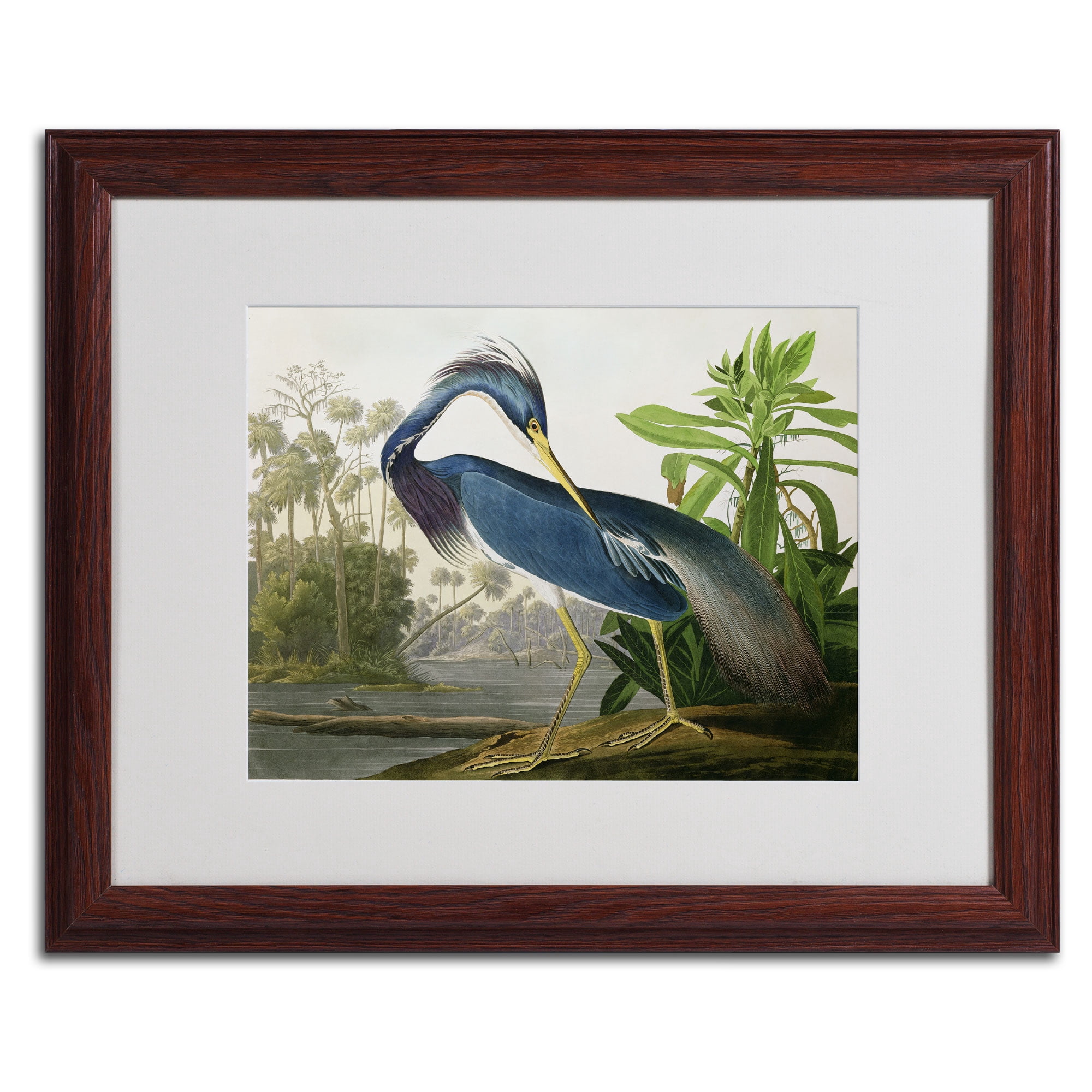 Trademark Fine Art Ornithology Canvas Art ' Louisiana Heron ' by John James Audubon