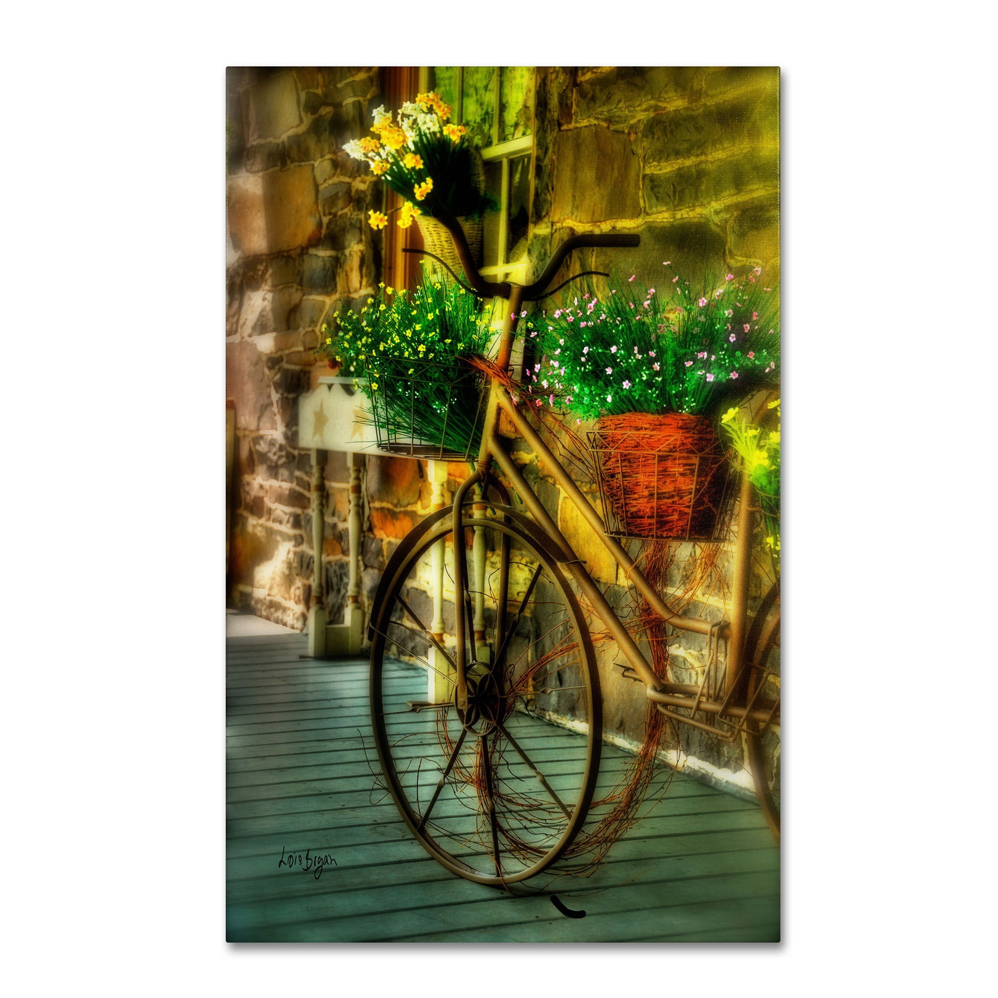 Trademark Fine Art "Still Useful" Canvas Art by Lois Bryan