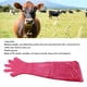 thumbnail image 4 of Guantes Veterinarios De Brazo Largo, Guantes De Plástico Desechables Para El Cuidado Del Ganado, Guantes Multiusos Para Vendaje De Campo, 4 of 7