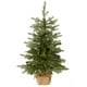 thumbnail image 1 of Árbol de Navidad National Tree Company de 90 cm con luces y base, 1 of 5