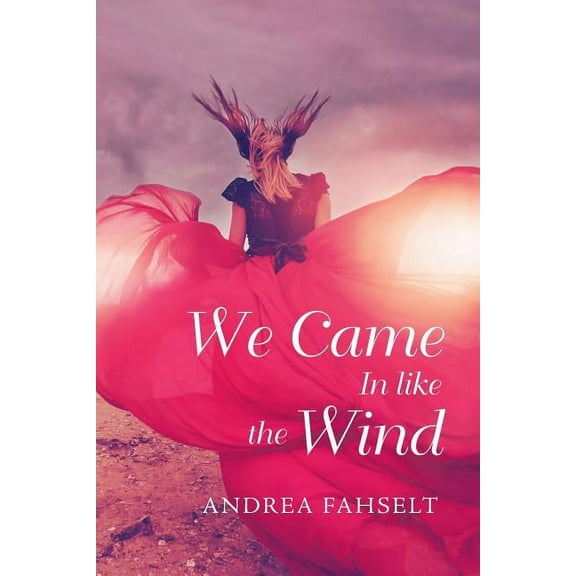We Came in Like the Wind (Paperback)