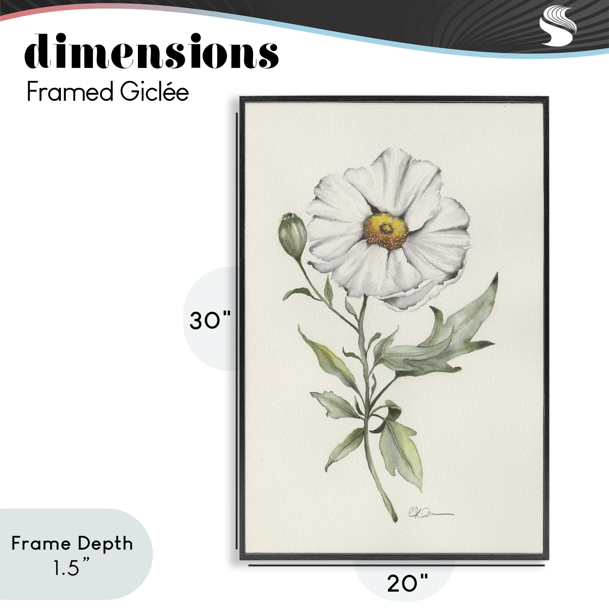 Stupell Industries Natural Wild Blossom Sprig Black Framed Giclee Art, design by Cady Driver