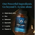 thumbnail image 5 of Cold Sore Shield Daily Cold Sore Support Supplement with L-Lysine 60 Count, 5 of 8