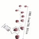 thumbnail image 3 of CaiYueKe LED Heart String Lights Romantic Decorative Indoor Lighting for Wedding Party Valentine's Day Anniversary Home Decor Warm White Battery Operated Fairy Lights, 3 of 9