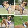 thumbnail image 5 of Dog Harness with Leash Set, Adjustable Step in Collars Harness with Breathable Padded Vest for Large Dog Training and Running (L, Purple), 5 of 11