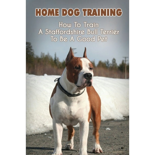 How To Potty Train A American Staffordshire Terrier