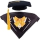 thumbnail image 1 of Trajes de graduación de ganso, ropa de ganso de cemento con sombrero de graduación negro y corbata amarilla, toga, estolas, accesorios para fotos, accesorios para disfraces de ganso., 1 of 9