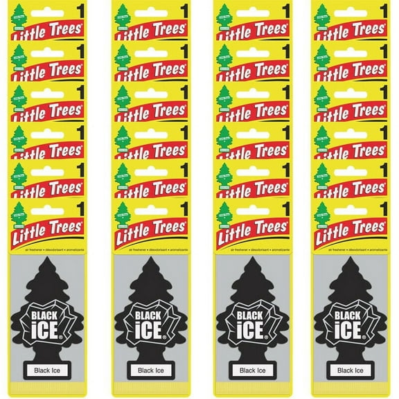 Little Trees Black Ice Automotive Air Fresheners, 24 Count