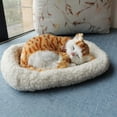 thumbnail image 3 of BAELLERT Breathing Sleeping Cat Toy with White Mat Battery Operated Simulated Artificial Fur Cat Ornament Photo Prop Kids Pet Lovers Birthday Gift, 3 of 8
