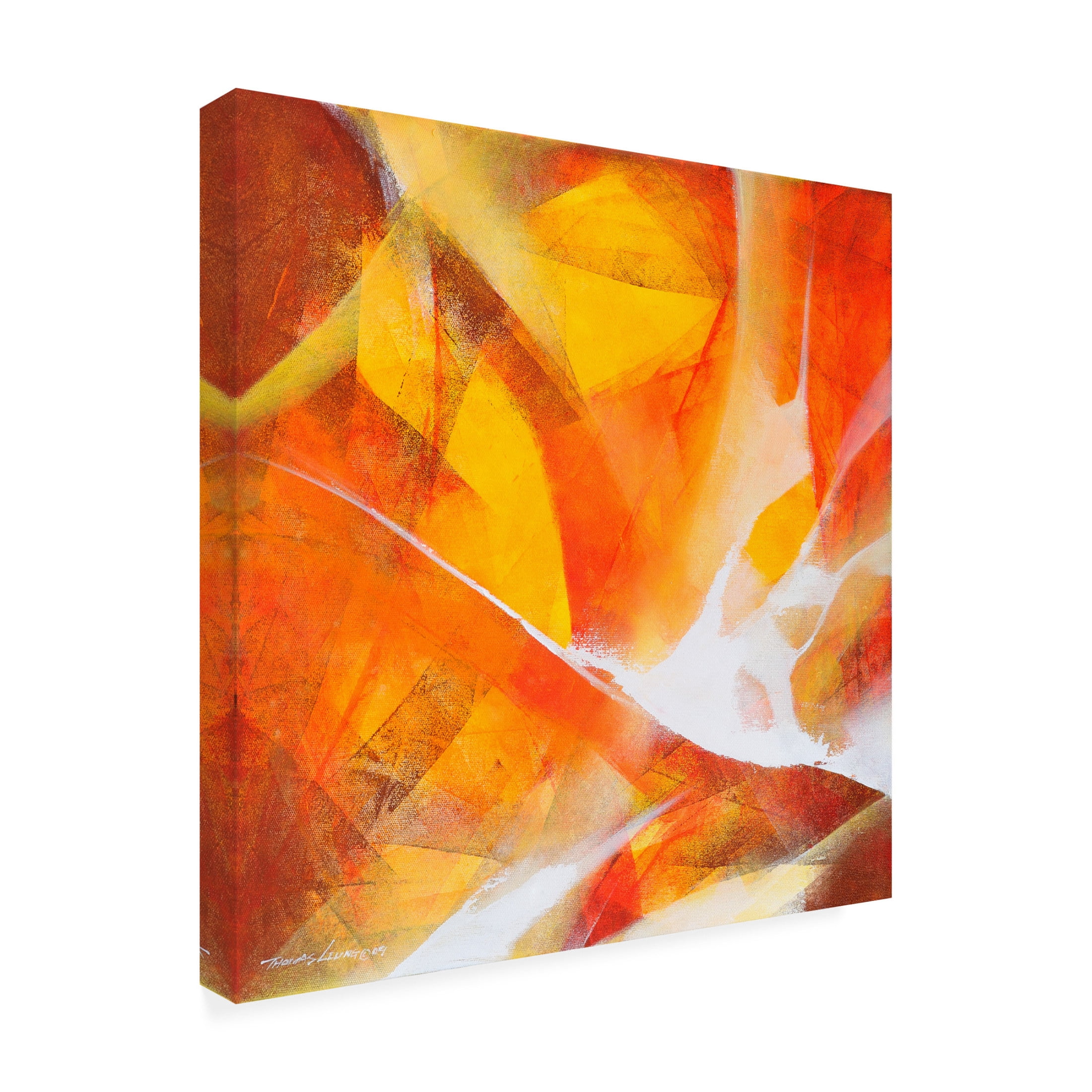 Canvas Wall Art - Thomas Leung 'Fly Up' Wall Art for Living Room, Bedroom, or Office Décor by Trademark Fine Art - 18 x 18 Inches