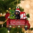 thumbnail image 4 of 2xDachshund Perro Adorno De Árbol De Navidad Letreros Colgantes Para Festival Interior Estilo C, 4 of 8