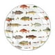 thumbnail image 1 of Decoraciones Para Fiestas De Pesca, Artículos Para Fiestas De Cumpleaños, Vajilla Temática, Platos Y Vasos Desechables, Juego De Decoración Para Fiestas, 1 of 7