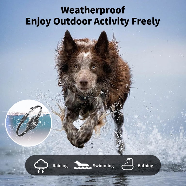 No-Shock Bark Collar For Small Dogs - Smart Rechargeable Anti-Bark Collar With Beep & Vibration Modes