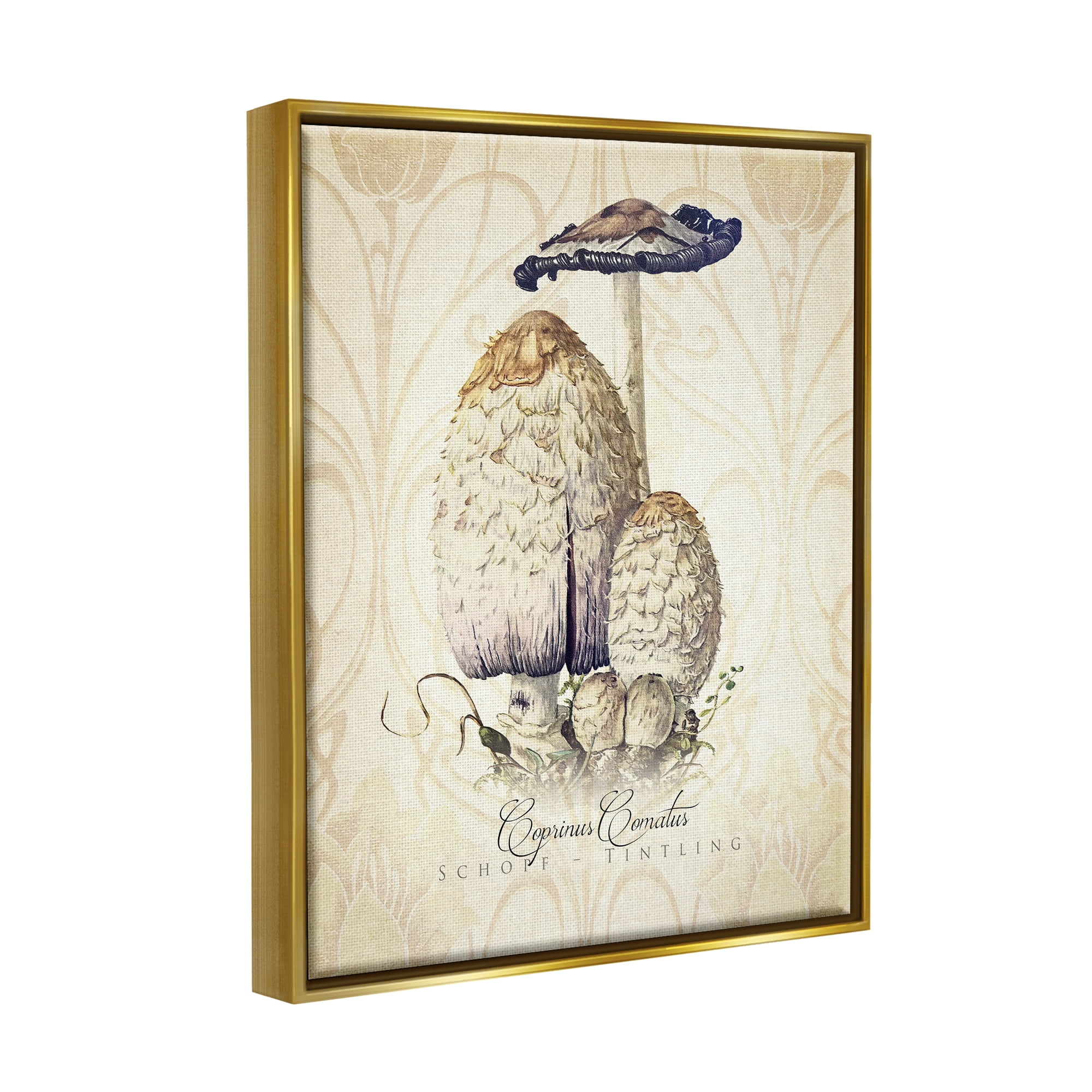 Stupell Industries Vintage Scientific Mushroom Study Botanical & Floral Painting Gold Floater Framed Art Print Wall Art