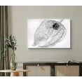 thumbnail image 1 of PixonSign Canvas Print Wall Art Dried Transparent Chinese Lantern Plant Botanical Wilderness Photography Realism Modern Closeup Dramatic Dark Black and White for Living Room, Bedroom, Office - 24"x36", 1 of 5