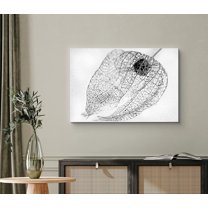 PixonSign Canvas Print Wall Art Dried Transparent Chinese Lantern Plant Botanical Wilderness Photography Realism Modern Closeup Dramatic Dark Black and White for Living Room, Bedroom, Office - 24"x36"