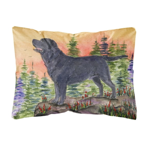Caroline's Treasures SS8624PW1216 Labrador Decorative   Canvas Fabric Pillow, 12H x16W, multicolor