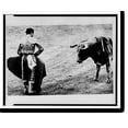 thumbnail image 2 of Historic Framed Print, [Matador Emilio Redondo holds cape before a bull which has been stabbed several times], 17-7/8" x 21-7/8", 2 of 9