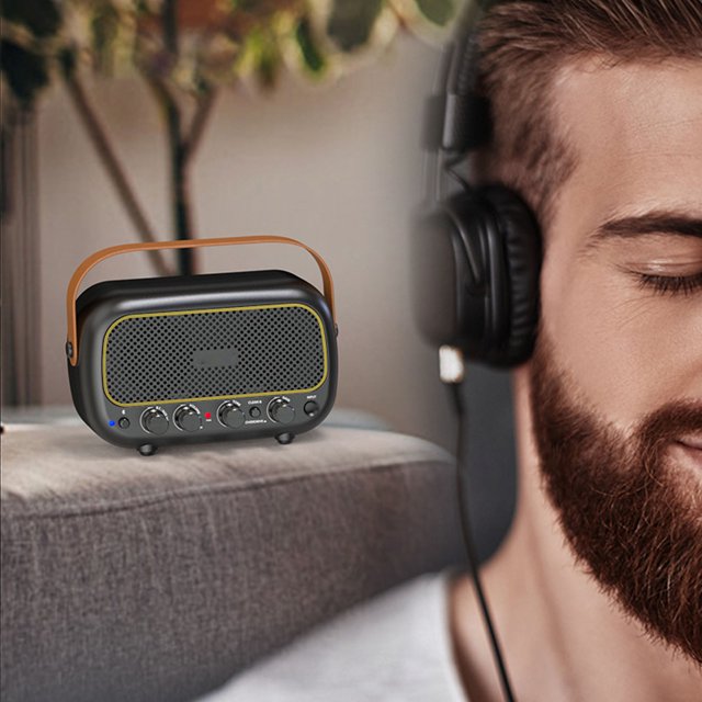 Portable Guitar Amp, Dual Speaker Headphone Jack Electric Guitar Amp for Daily Practice