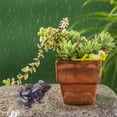 thumbnail image 5 of Garden Frog Ornament under $5! Yannianjz Garden Frog Ornaments Outdoor Decor, Resin Pond Critter Figurine for Fish Tank, Lawn Patio Landscape Decor, Waterproof Garden Statues, 5 of 6